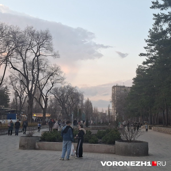 Источник: Алёна Воропаева / Voronezh1.ru