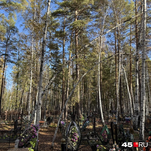 Источник: Кирилл Митин