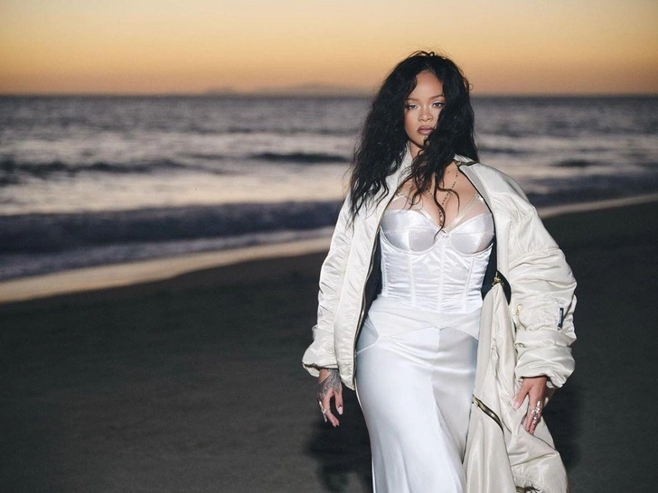 Источник: соцсети badgalriri