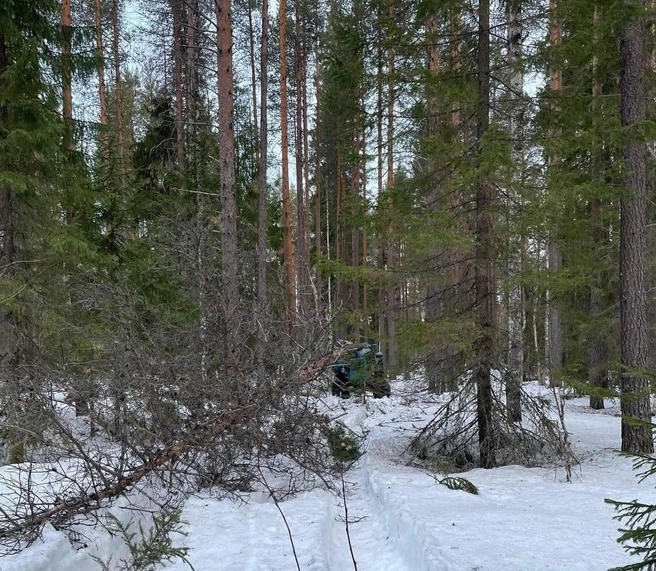 Погибший хотел сдвинуть дерево с помощью трактора | Источник: СУ СК России по Архангельской области и НАО