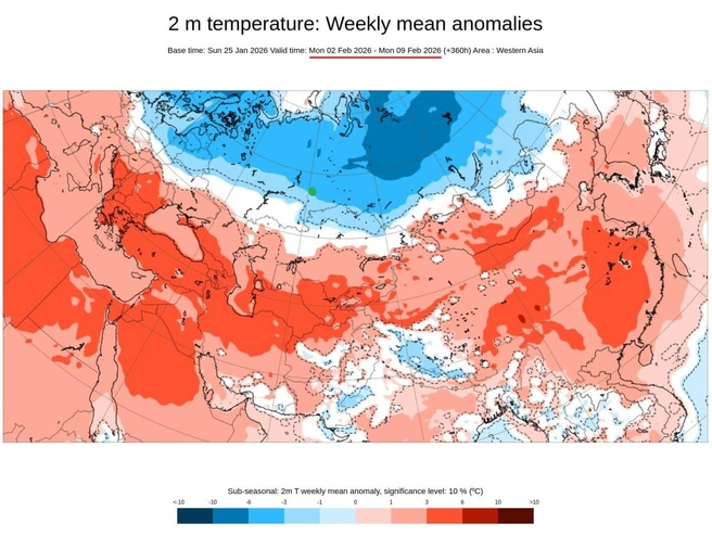 Со 2 по 9 февраля будет очень холодно | Источник: ECMWF