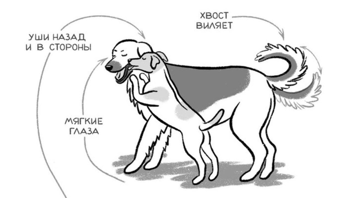 Найдите на картине хозяина собаки