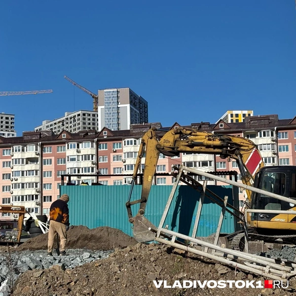 Источник: Елена Буйвол / VLADIVOSTOK1.RU