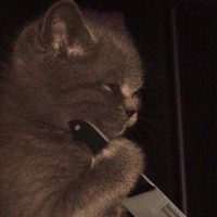 Аватарка Lilo_01