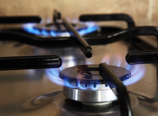 Жители деревни в Рязанском районе пожаловались на отсутствие газификации | ya62.ru