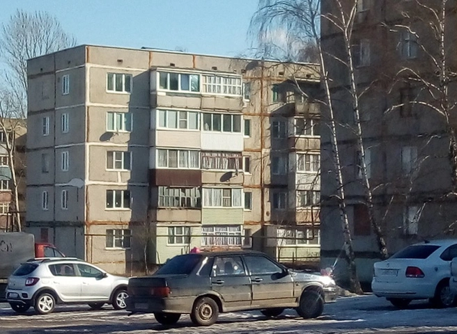 В Пронске мужчина и женщина «избили» припаркованные автомобили | ya62.ru