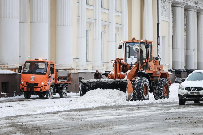 Источник: Комитет по благоустройству Петербурга