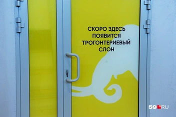 За этой дверью раздаются звуки активного ремонта | Источник: Ирина Тропина / 59.RU
