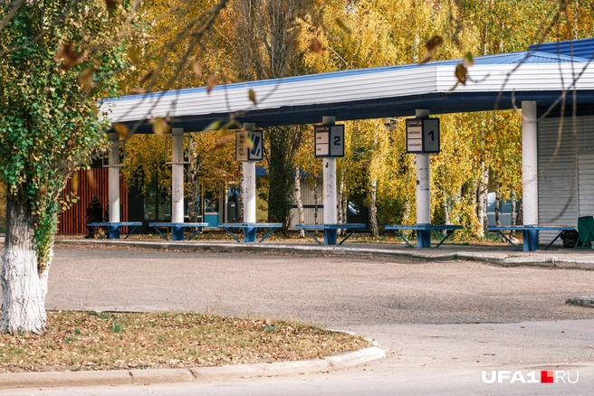 Попутки до Уфы здесь нечасто бывают | Источник: Булат Салихов / UFA1.RU