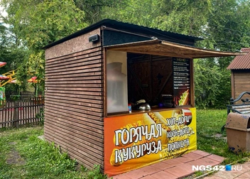 Источник: Елизавета Богатырева / NGS42.RU