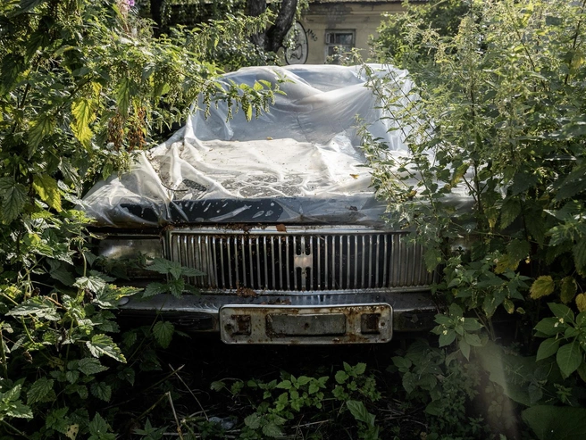 В кустах притаился старый автомобиль, который стал уже местным «арт-объектом» | Источник: Александр Куренной / 76.RU