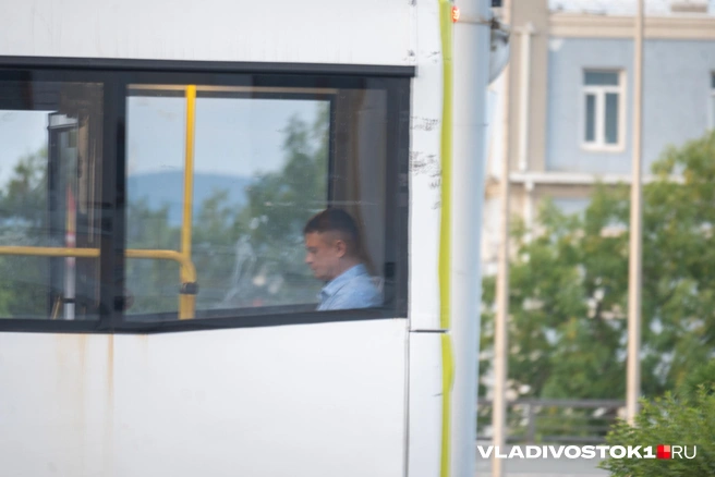Источник: Елена Буйвол / VLADIVOSTOK1.RU