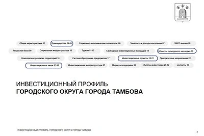 В Тамбове разработали инвестиционный профиль города