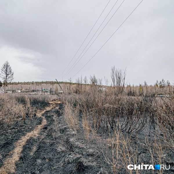 Источник: Олег Федоров / CHITA.RU