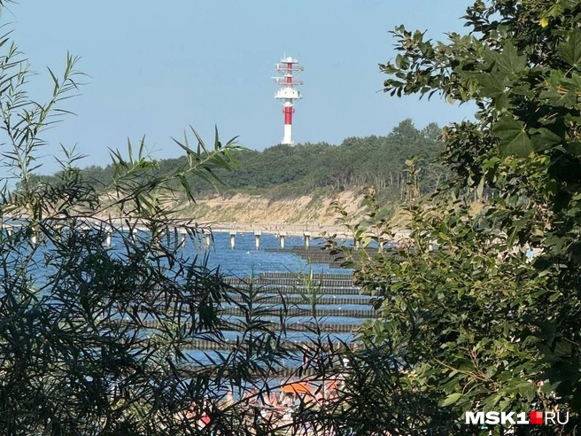 Источник: Оксана Маклакова / MSK1.RU