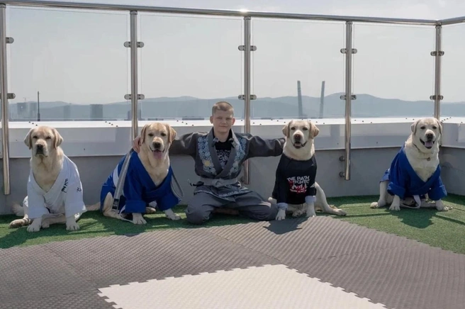 Источник: elizarov_bjj / Instagram*