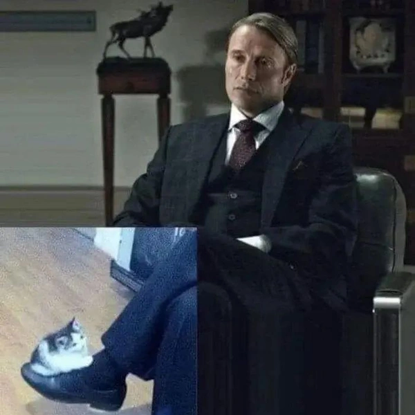 Источник: соцсети