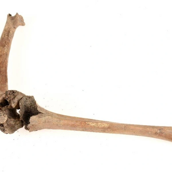 Источник: Open Archaeology