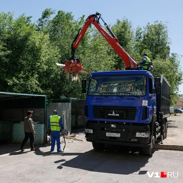 На саму расчистку такой кучи ушло около получаса | Источник: Алексей Волхонский / V1.RU