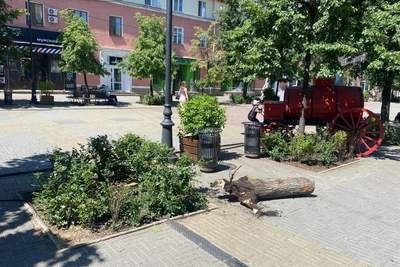 На Кировке вырубают четыре сухостойных дерева