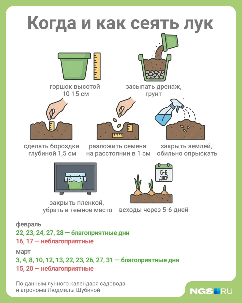 Источник: Юрий Орлов / Городские медиа