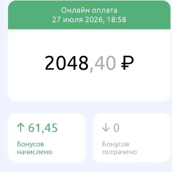 Источник: Дарья Елисейчева / 116.RU