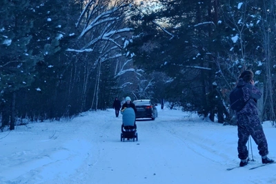Штраф за езду по бору: появился водитель с особыми номерами