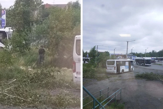 Фото опубликовали в группе «ВКонтакте» | Источник: «Омск ВК» / omsk_vk / vk.com