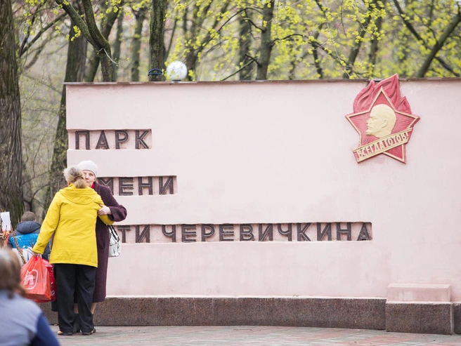 Одна из новых теплиц может быть размещена в парке имени Вити Черевичкина. | Источник: Евгений Вдовин / 161.RU
