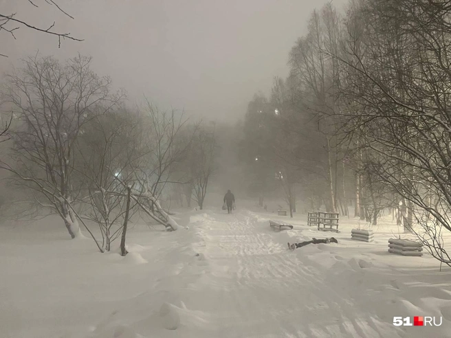 Источник: Александра Балаба / 51.RU