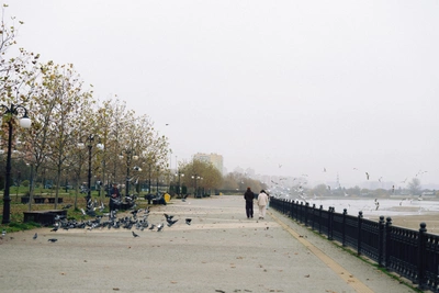 20-й отказ мэрии Краснодара на митинг против застройки набережной