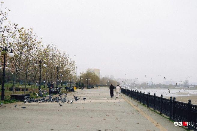 Жители Юбилейного мечтают о продолжении набережной до центра | Источник: Дарья Паращенко / 93.RU
