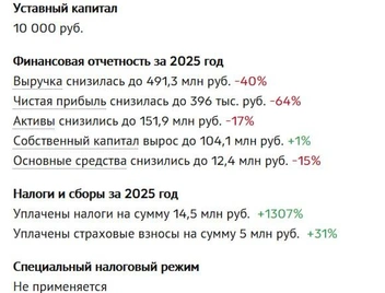 Финансовая отчетность | Источник: Checko.ru