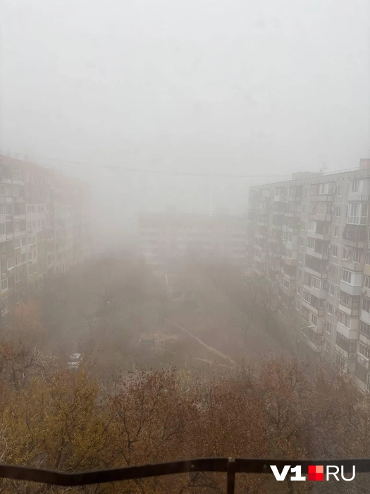 А здесь запечатлены и «золото» осени, и ее мистика | Источник: читатель V1.RU