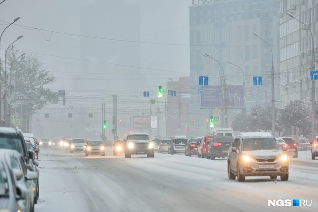 Источник: Александр Ощепков / NGS.RU