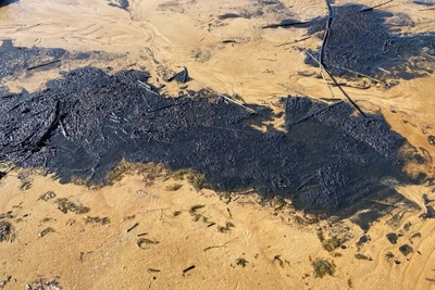 Депутат обнаружил черную жижу на пляже, не найденную Эконадзором