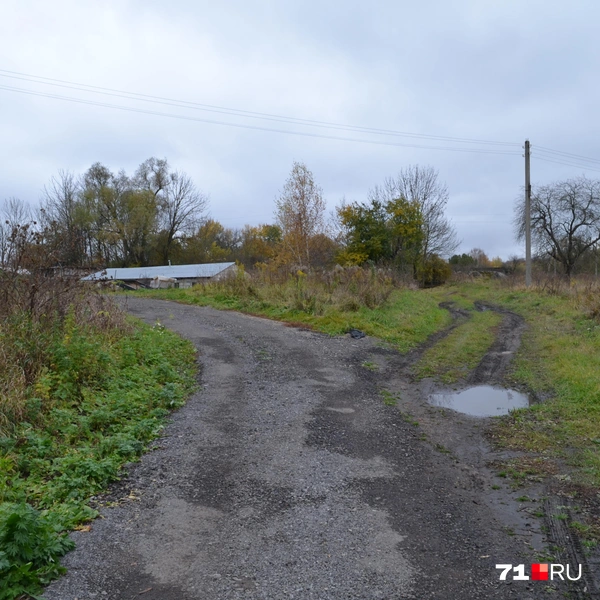 Слева — засыпанная грунтовка, справа — обычная дорога в поселке | Источник: Максим Улитов / 71.RU