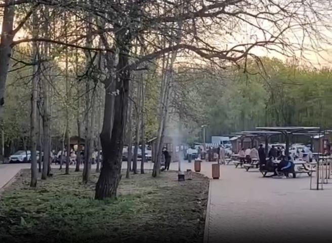 В парке Лесоводов жарили шашлыки | Источник: UTV / t.me