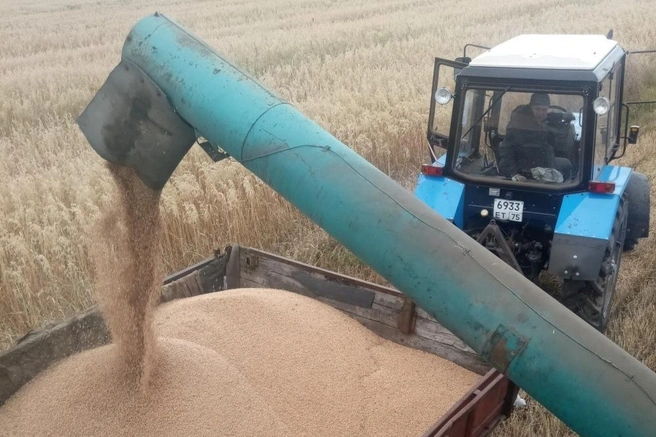 Аграрная отрасль региона стабильна, но подвержена влиянию различных факторов | Источник: Sfsca.ru