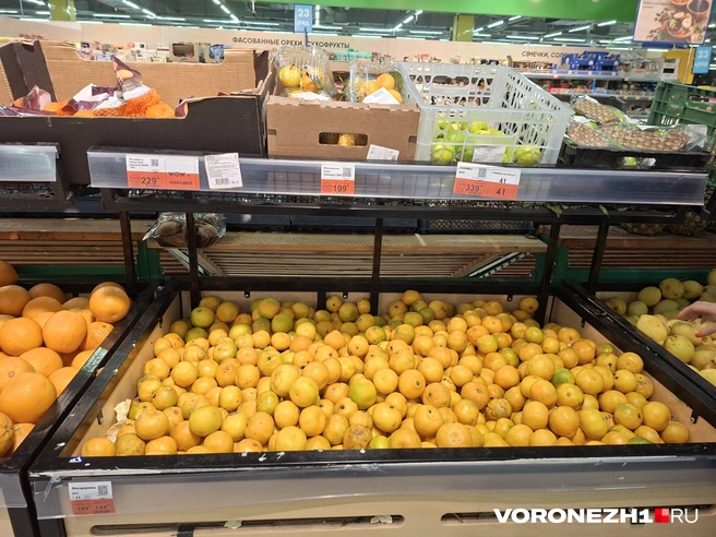 Источник: Алёна Воропаева / Voronezh1.ru