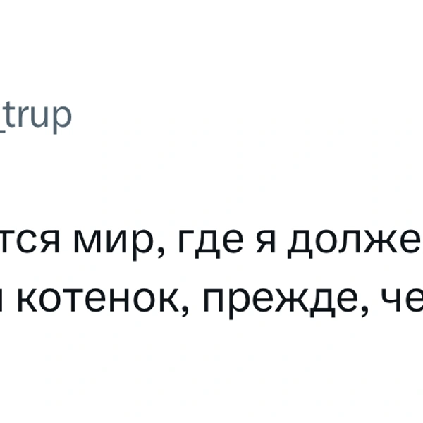 Источник: X (Twitter)