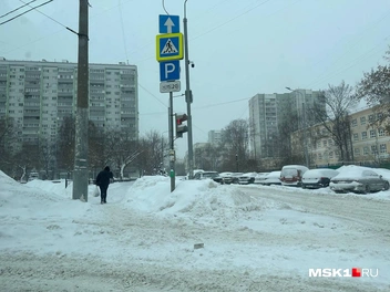 Источник: Екатерина Рябчук / MSK1.RU