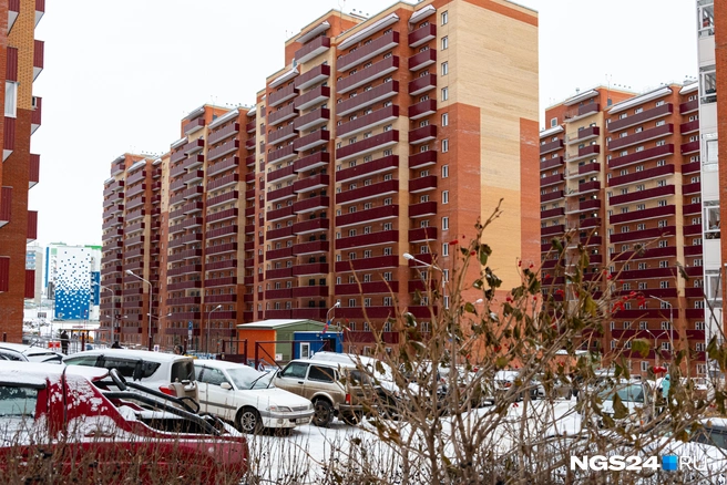 Два | Источник: Мария Ленц / NGS24.RU