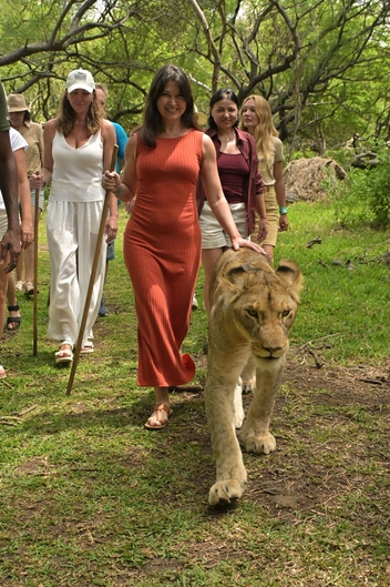 В течение всей прогулки их можно было гладить и играть с ними | Источник: Яна Ефременко