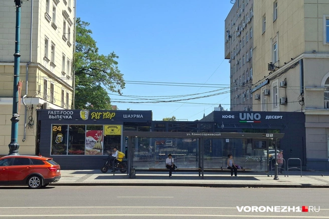 Источник: Алёна Воропаева, Серафима Пантыкина / Voronezh1.ru