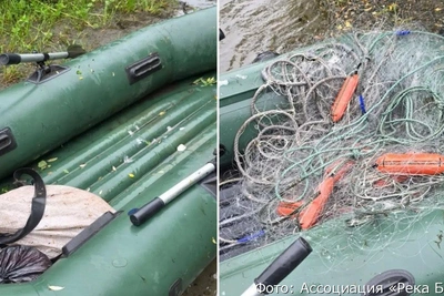 Два браконьера задержаны на западе Камчатки