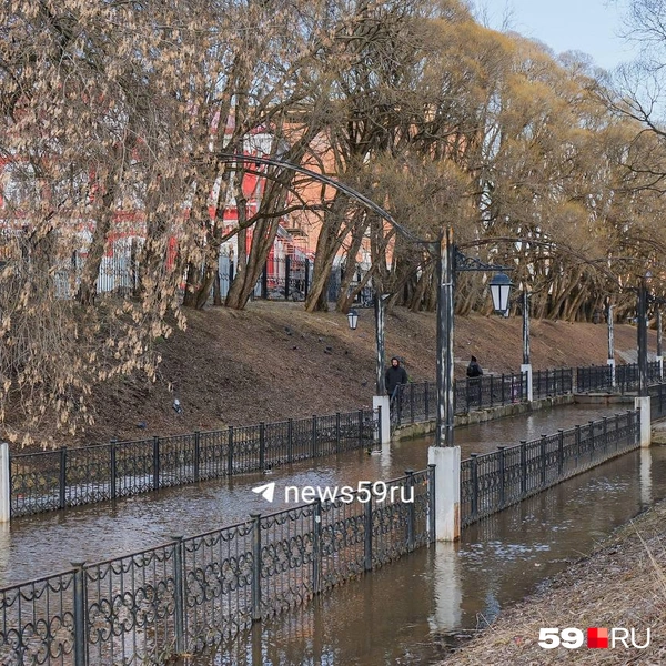 Вода не добралась до части парка&nbsp;— там по-прежнему сухо | Источник: Тимофей Калмаков / 59.RU