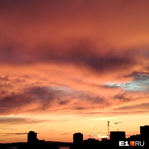 Каждое фото&nbsp;— словно картина | Источник: читатель E1.RU