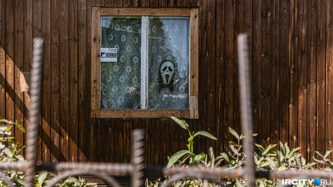 Или за неожиданный дизайн охранной системы | Источник: Кирилл Фалеев / «ИрСити»