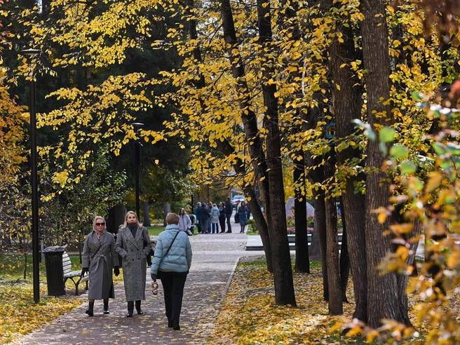 В ближайшую неделю в Новосибирске будет пасмурно | Источник: Александр Ощепков / NGS.RU
